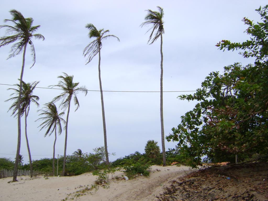 Pousada Paraiso Das Canárias Exteriér fotografie
